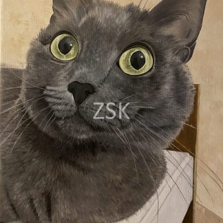 kedi-orj-zsk